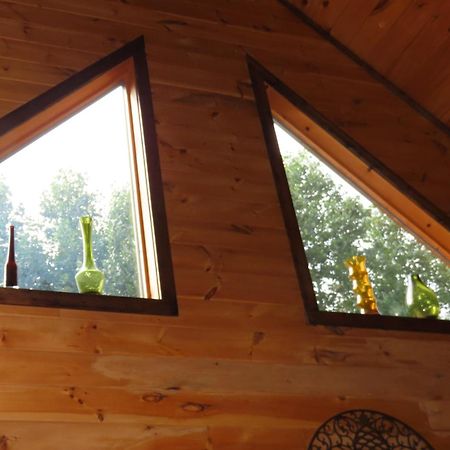 Scenic Fox Ridge Cabin On 4 Acres With Hot Tub! Whittier Εξωτερικό φωτογραφία