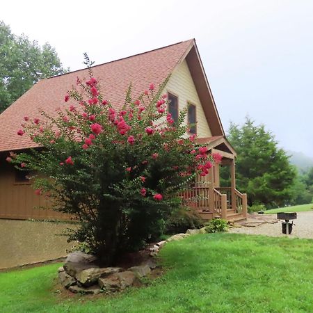 Scenic Fox Ridge Cabin On 4 Acres With Hot Tub! Whittier Εξωτερικό φωτογραφία