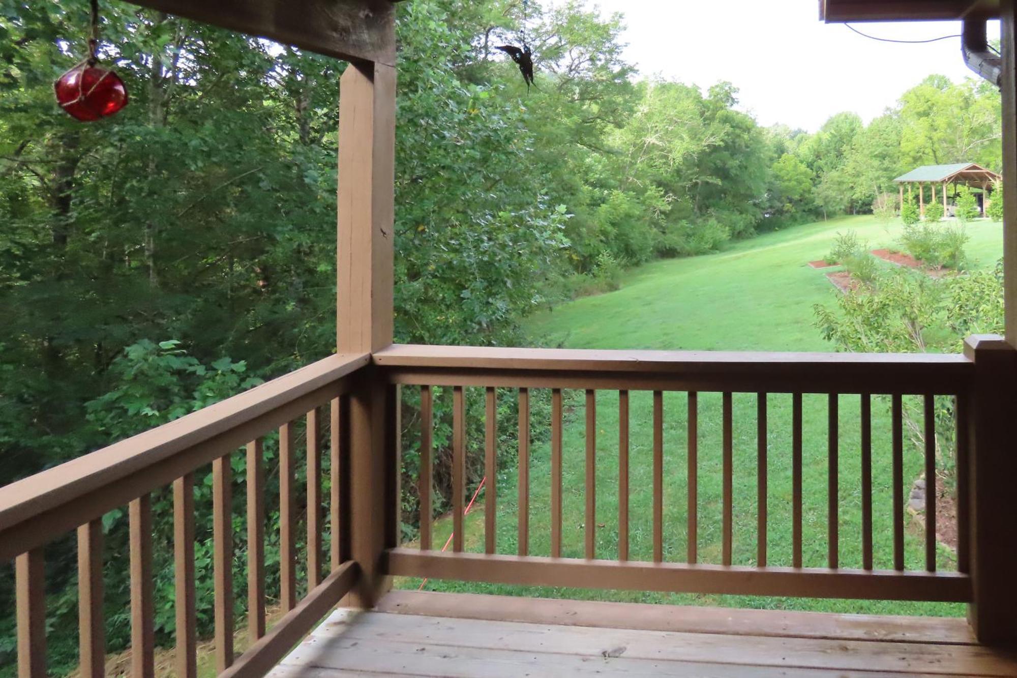Scenic Fox Ridge Cabin On 4 Acres With Hot Tub! Whittier Εξωτερικό φωτογραφία
